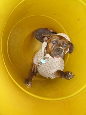 At the playground