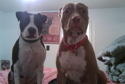 Delilah and Aston sitting on the bed