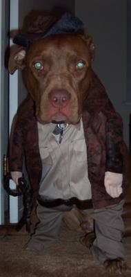 Tyson McLovin as Indiana Jones