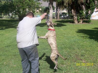 Kahne playing with his daddy