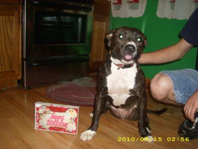 Ki Ki and her Birthday Cake