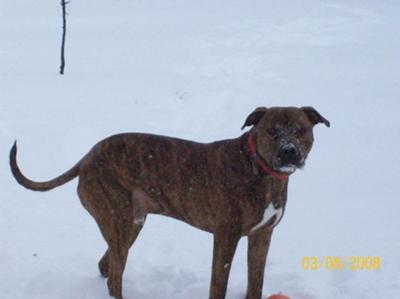 Playing in the snow