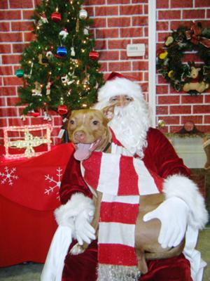 Mollie and Santa