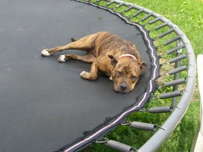 Karma on HER trampoline