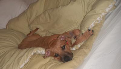 snuggled up in bed with daddy