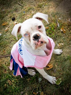 Fiona the Cheerleader!