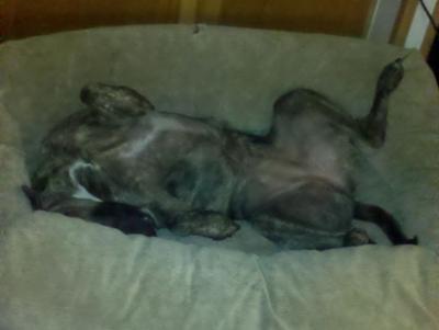 Ropers favorite position!