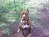This was Caines 1yr younger brother Gauge