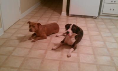 my babies (: