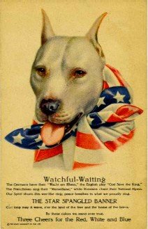 WWI Pit Bull Poster