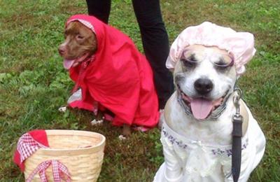 Little Red Riding Roo and Grandmother