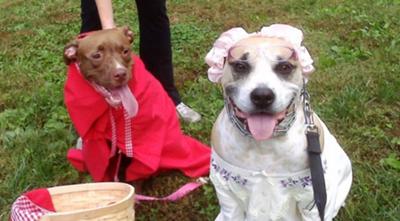 Little Red Riding Roo and Grandmother