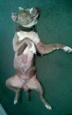 Ahhh, that's the spot!