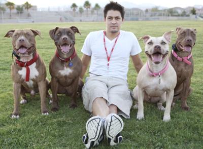 peace love and pit bulls .org