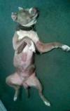 Ahhh, that's the spot!