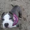 Novah with a dirty face