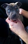 Our strong man Ruger :]